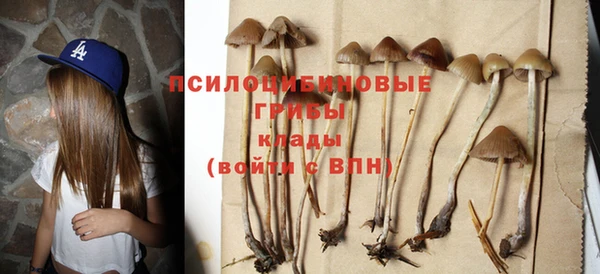 стафф Абаза