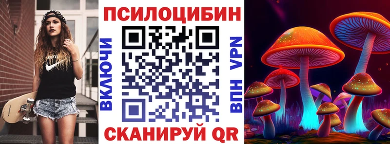 Псилоцибиновые грибы Psilocybine cubensis ссылка на мегу tor Элиста