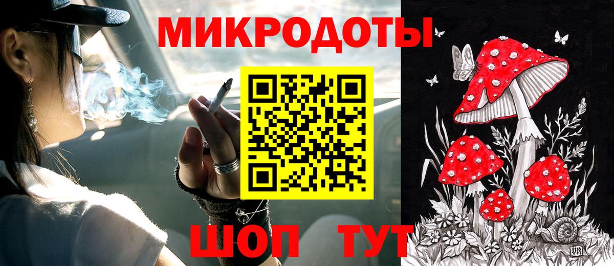 дарнет шоп  Псилоцибиновые грибы Psilocybine cubensis  Вход с VPN  Псилоцибиновые грибы Psilocybe  Элиста 